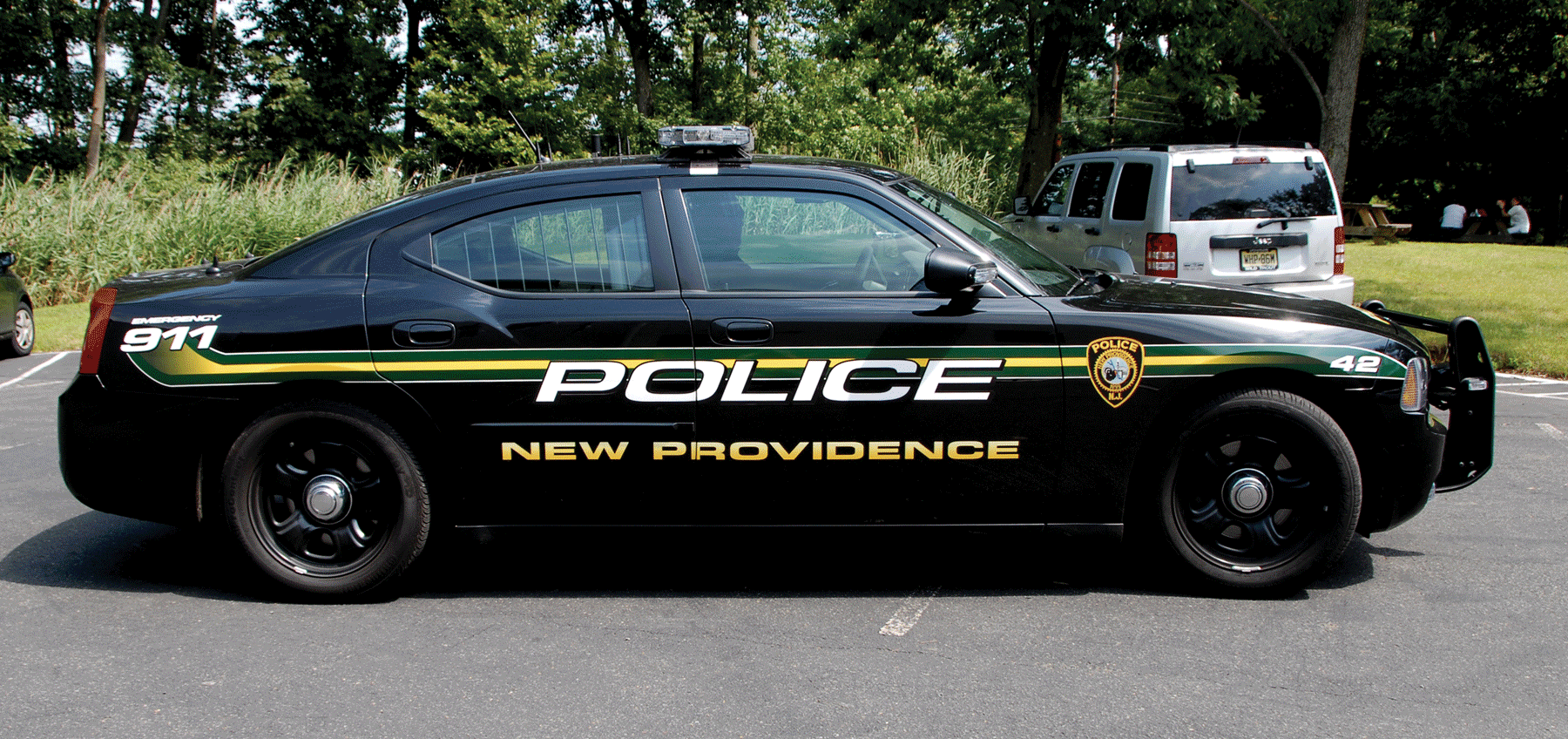police car graphics