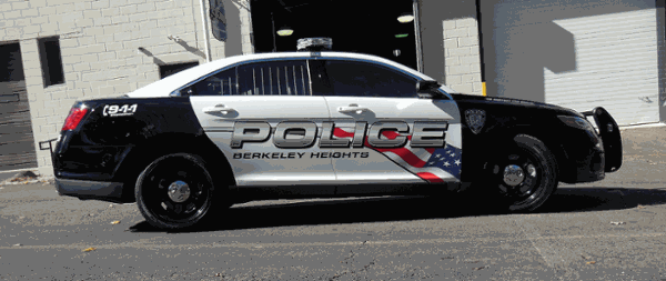 police car graphics