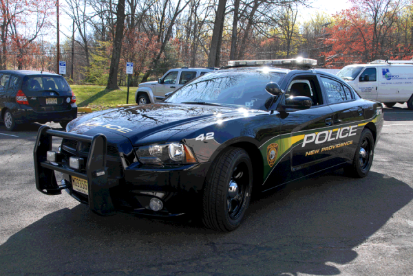 Police car graphics