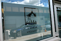 vinyl window graphics