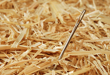 Separating your business from the competition  