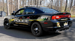 vehicle graphics, police cruiser
