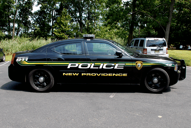 police car graphics, vehicle graphics