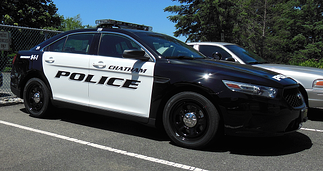 police car grapics, vehicle graphics